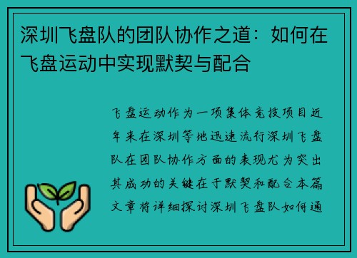 深圳飞盘队的团队协作之道：如何在飞盘运动中实现默契与配合